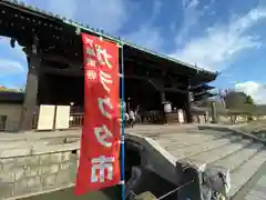 東寺（教王護国寺）(京都府)