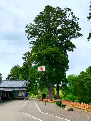 熊野那智神社(宮城県)