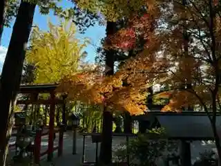 日枝神社(岐阜県)