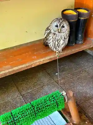 諏訪神社(山形県)