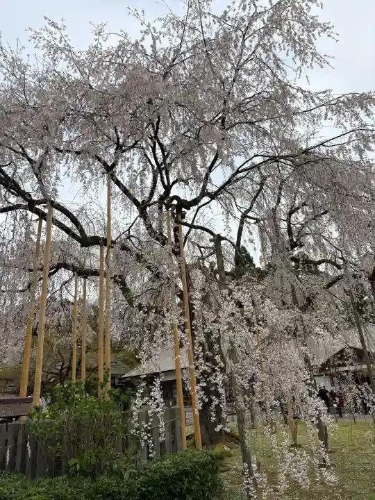 足羽神社の{uncategorized: "未分類", other: "その他", undefined: "問題あり", building: "その他建物", grave: "お墓", sacred_gate: "鳥居", guardian: "狛犬", statue: "像", buddha: "仏像", history: "歴史", nature: "自然", garden: "庭園", animal: "動物", pagoda: "塔", temizu: "手水舎", mountain_gate: "山門・神門", sanctuary: "本殿・本堂", subordinate: "末社・摂社", art: "芸術", scenery: "景色", jizo: "地蔵", ema: "絵馬", goshuin: "御朱印", omikuji: "おみくじ", items: "授与品その他", amulet: "お守り", goshuincho: "御朱印帳", eats: "食事", festival: "お祭り", votive_dance: "神楽", shichigosan: "七五三参", wedding: "結婚式", experience: "体験その他", initially: "初詣", around: "周辺", anti_infection: "感染症対策"}