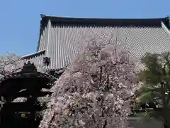 妙顯寺（妙顕寺）(京都府)