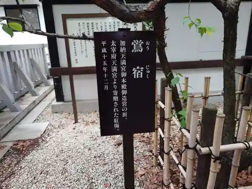 加納天満宮のその他建物