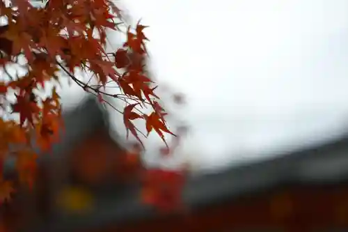 宇治神社の自然