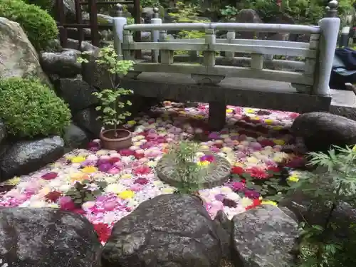岡寺（龍蓋寺）の庭園