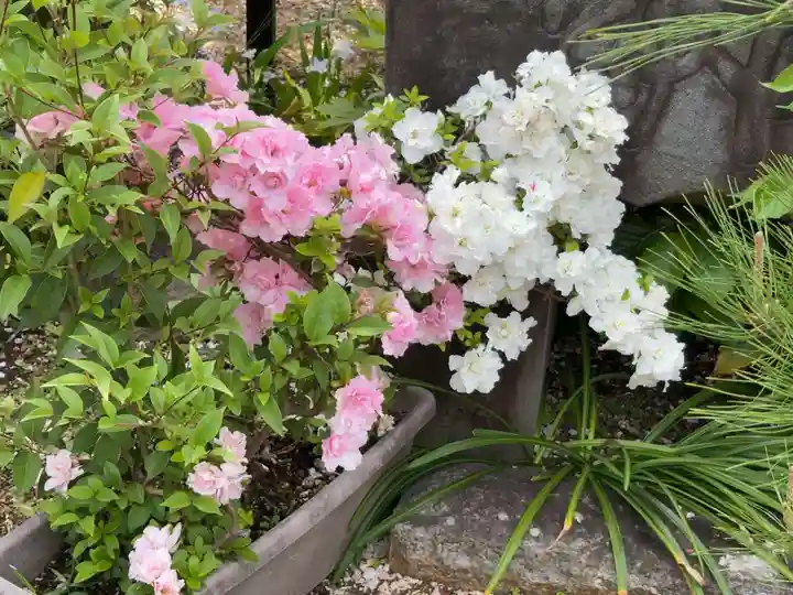 谷中 妙福寺(東京都)