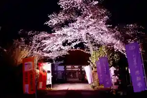 真言宗豊山派 赤城寺の景色(2023年03月31日(金) 20時57分59秒投稿)