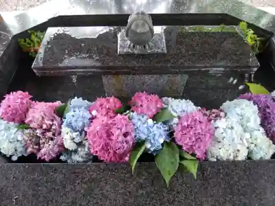 新琴似神社の手水舎