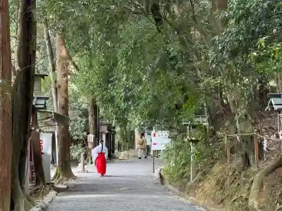 磐座神社（大神神社摂社）の{uncategorized: "未分類", other: "その他", undefined: "問題あり", building: "その他建物", grave: "お墓", sacred_gate: "鳥居", guardian: "狛犬", statue: "像", buddha: "仏像", history: "歴史", nature: "自然", garden: "庭園", animal: "動物", pagoda: "塔", temizu: "手水舎", mountain_gate: "山門・神門", sanctuary: "本殿・本堂", subordinate: "末社・摂社", art: "芸術", scenery: "景色", jizo: "地蔵", ema: "絵馬", goshuin: "御朱印", omikuji: "おみくじ", items: "授与品その他", amulet: "お守り", goshuincho: "御朱印帳", eats: "食事", festival: "お祭り", votive_dance: "神楽", shichigosan: "七五三参", wedding: "結婚式", experience: "体験その他", initially: "初詣", around: "周辺", anti_infection: "感染症対策"}