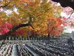 化野念仏寺(京都府)