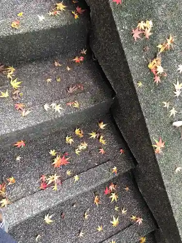 揖夜神社の自然