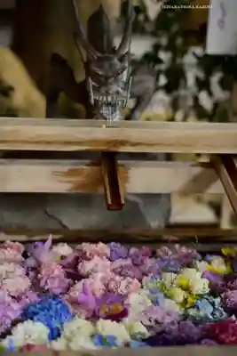 東京大神宮(東京都)