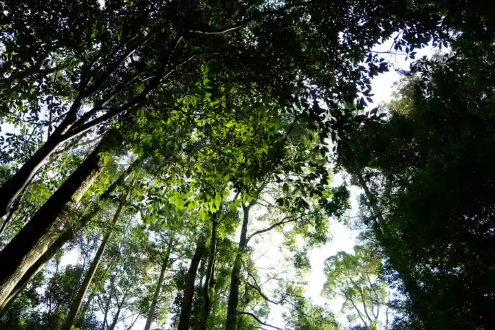 伊勢神宮内宮(皇大神宮)の自然