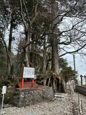 富士山東口本宮 冨士浅間神社(静岡県)