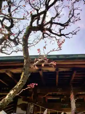 四谷於岩稲荷田宮神社(東京都)