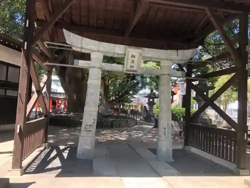 佐嘉神社・松原神社(佐賀県)