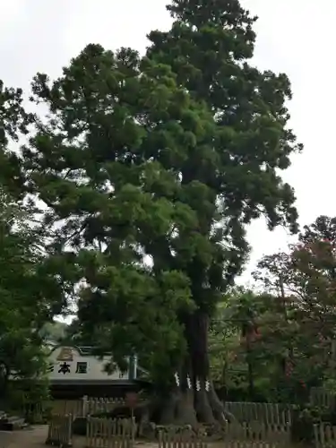筑波山神社のその他建物