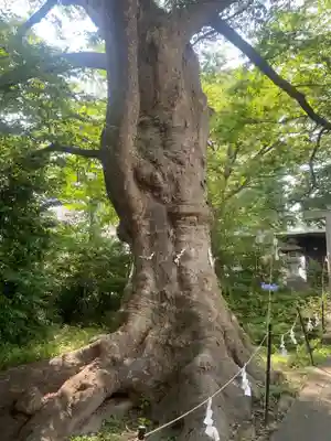 愛宕神社(福島県)