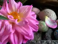 滑川神社 - 仕事と子どもの守り神の手水舎