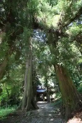 北野天神社のその他建物