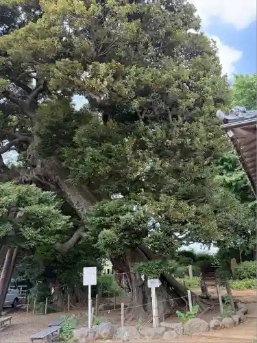 九重神社(埼玉県)