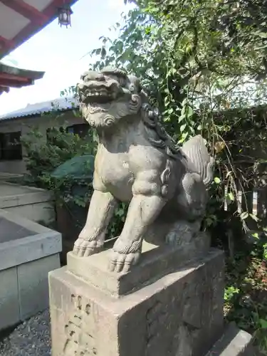 筑土八幡神社の狛犬