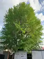 不動院(千葉県)