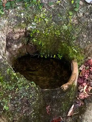 祐徳稲荷神社の自然