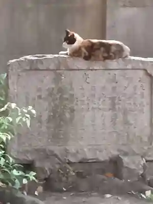 岡山戎神社の動物