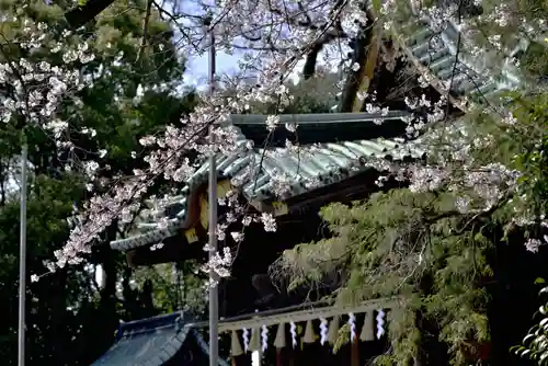 三嶋大社(静岡県)