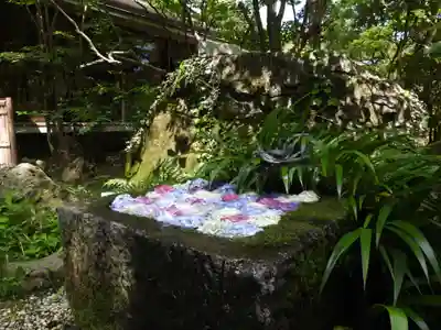 武田神社(山梨県)