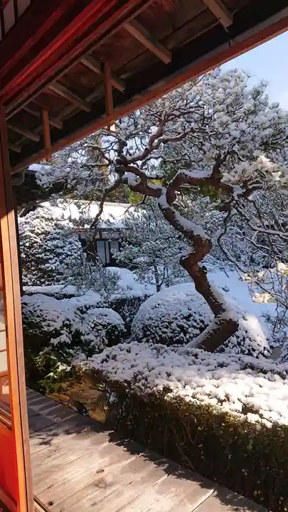 雲龍院(京都府)