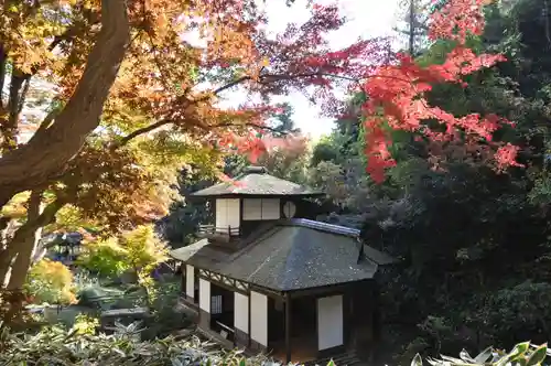 戸部杉山神社(神奈川県)