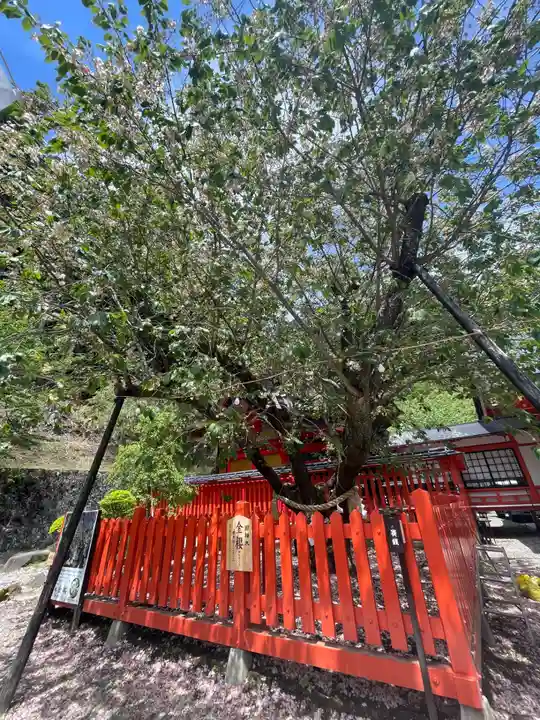 金櫻神社(山梨県)