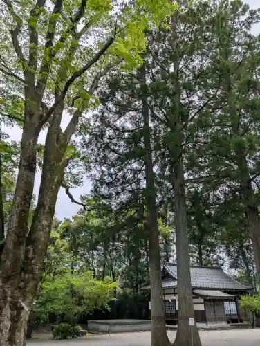 雄山神社前立社壇の{uncategorized: "未分類", other: "その他", undefined: "問題あり", building: "その他建物", grave: "お墓", sacred_gate: "鳥居", guardian: "狛犬", statue: "像", buddha: "仏像", history: "歴史", nature: "自然", garden: "庭園", animal: "動物", pagoda: "塔", temizu: "手水舎", mountain_gate: "山門・神門", sanctuary: "本殿・本堂", subordinate: "末社・摂社", art: "芸術", scenery: "景色", jizo: "地蔵", ema: "絵馬", goshuin: "御朱印", omikuji: "おみくじ", items: "授与品その他", amulet: "お守り", goshuincho: "御朱印帳", eats: "食事", festival: "お祭り", votive_dance: "神楽", shichigosan: "七五三参", wedding: "結婚式", experience: "体験その他", initially: "初詣", around: "周辺", anti_infection: "感染症対策"}
