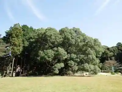 クスの森若宮神社(山口県)