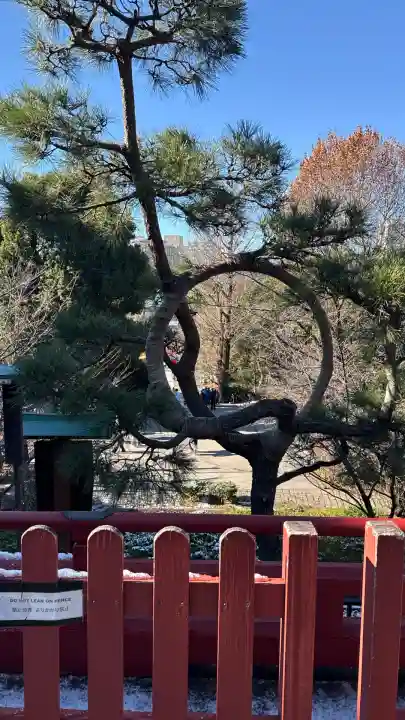 清水観音堂(東京都)