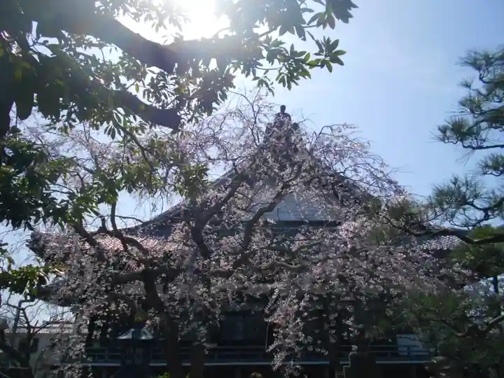本覚寺のその他建物