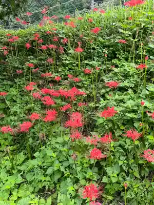 宝城坊(神奈川県)