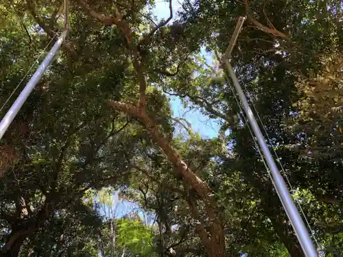 天照神社の自然