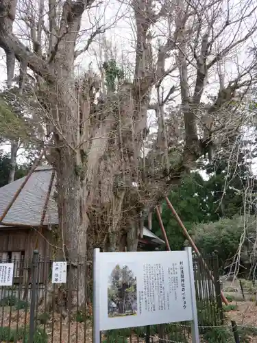村山浅間神社(静岡県)