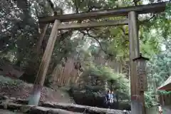 桜井大神宮の鳥居