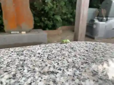 関根寺(千葉県)