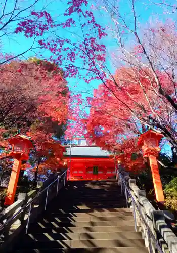 穴八幡宮(東京都)