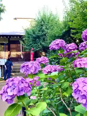 本土寺(千葉県)