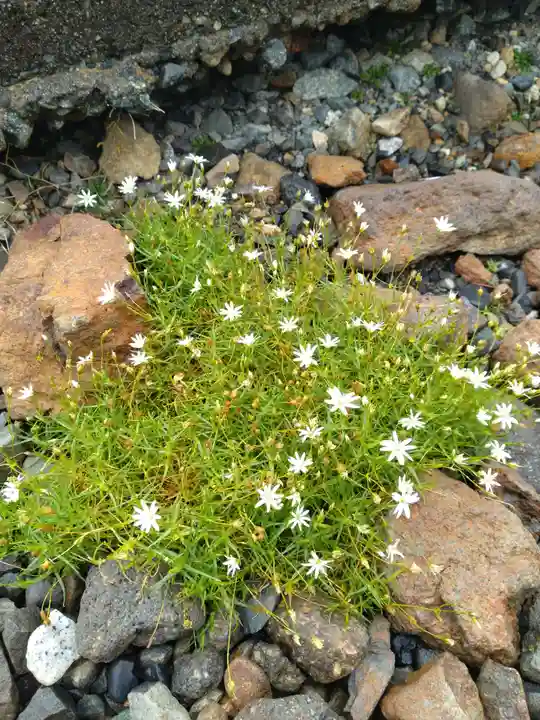 乗鞍本宮(岐阜県)