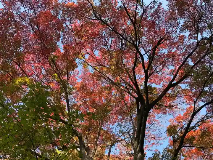 赤山禅院(京都府)