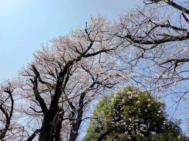 桜森稲荷神社(神奈川県)
