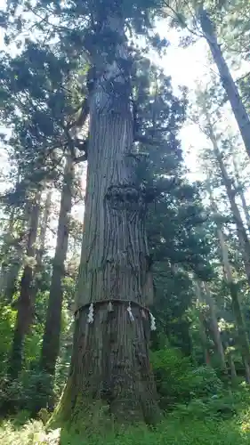 出羽神社(出羽三山神社)～三神合祭殿～(山形県)