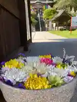 埼玉厄除け開運大師・龍泉寺(切り絵御朱印発祥の寺)(埼玉県)